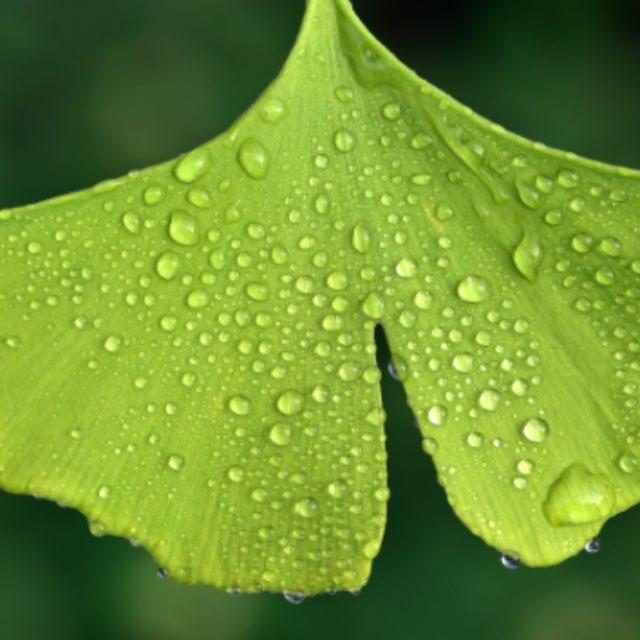 宇宙里会不会有什么生物整个门甚至界灭绝了?-软件乐园