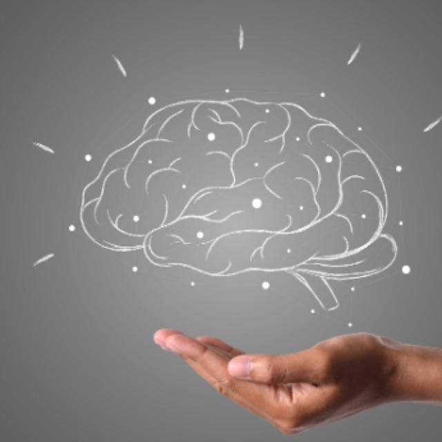 「睾丸是和大脑最像的人体器官」这一结论有什么实际意义么?-软件乐园