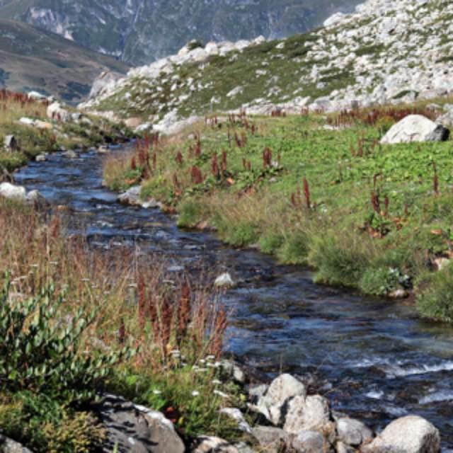 古代有的朝代战乱多赋税重,为什么大多数人不去人烟稀少的地方生活?-软件乐园