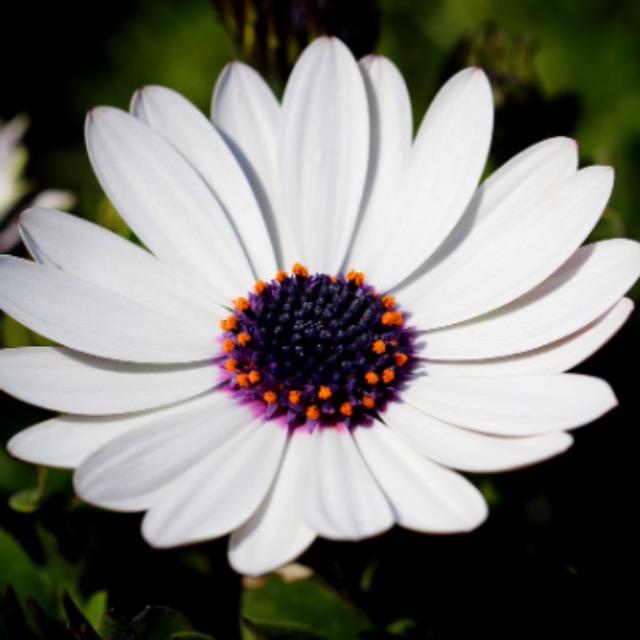 瞎扯 · 如何正确地吐槽-软件乐园