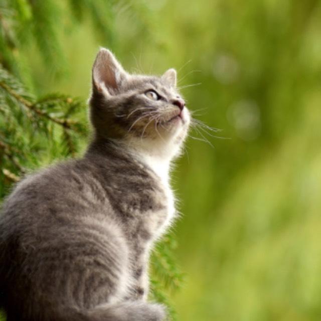 瞎扯 · 如何正确地吐槽-软件乐园