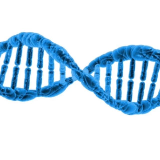 什么是声子？-软件乐园