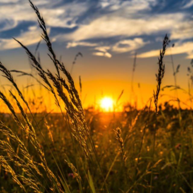 为什么拥有扬子江入海口深水港的南通非但没有成为另一个上海，甚至也没能成为另一个宁波青岛？-软件乐园