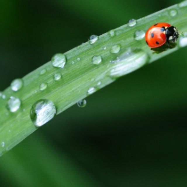 与人类亲缘关系最远的是什么生物?-软件乐园