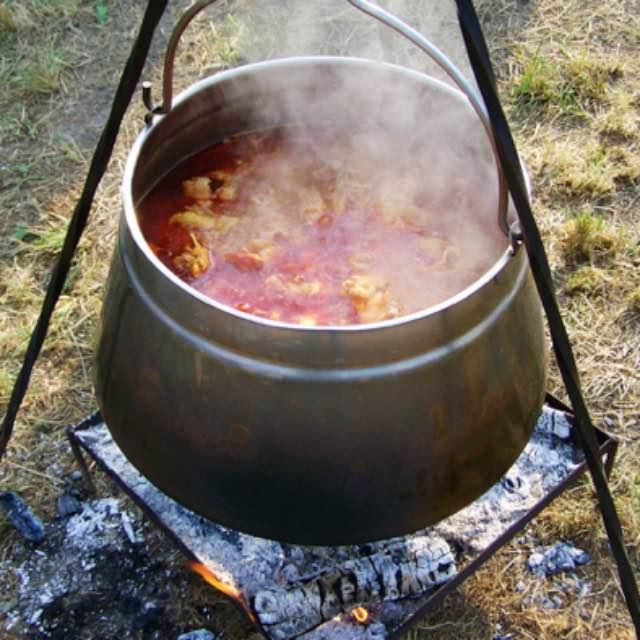 虾为啥要长得这么适合被吃?-软件乐园