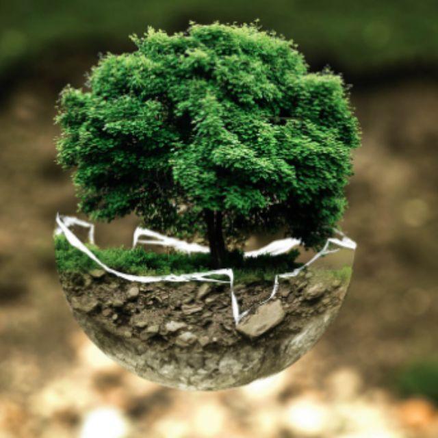 自然界有哪些奇特的寄生生物？-软件乐园