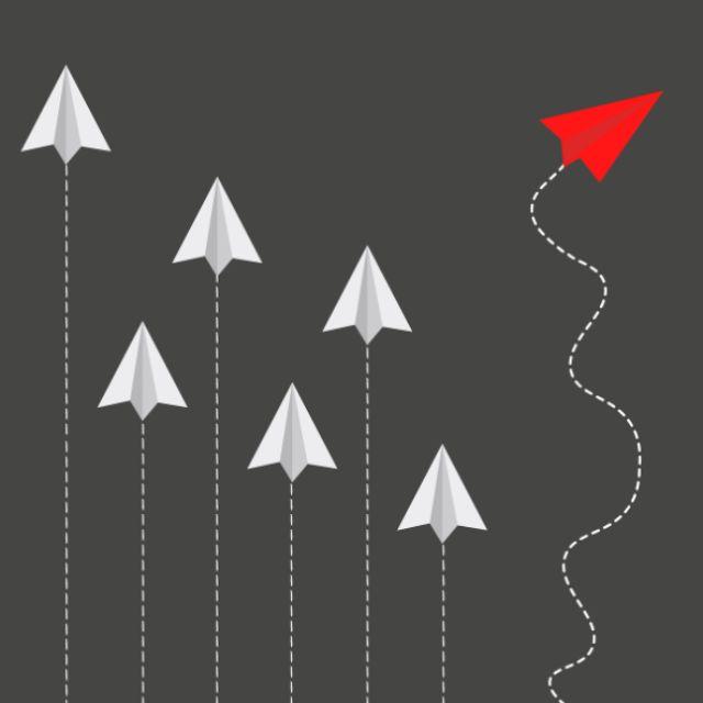 为什么飞机在飞行时遇到小鸟会机毁人亡？-软件乐园