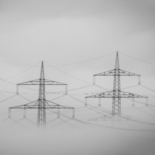 电被发明以前，电鳗叫什么呢？-软件乐园