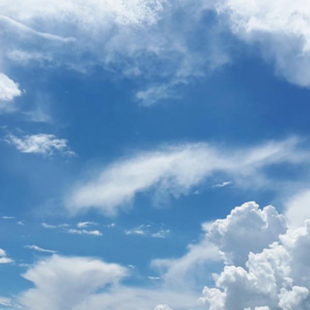 如果所有生物停止制造氧气，人类多久会憋死？-软件乐园