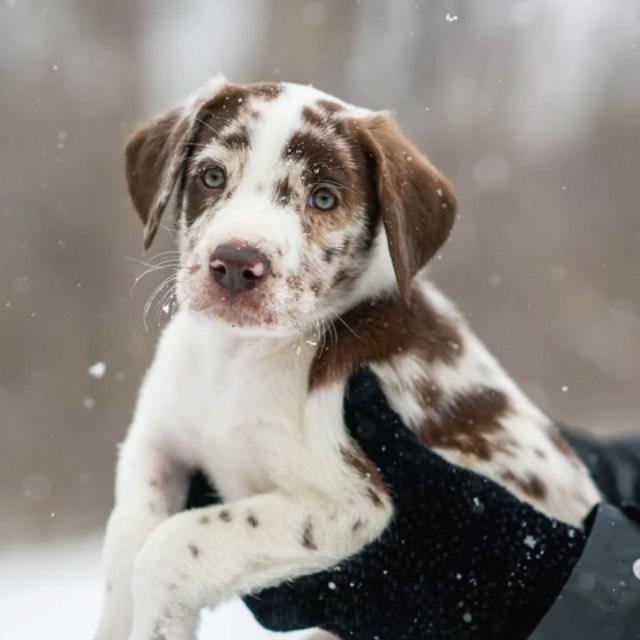 瞎扯 · 如何正确地吐槽-软件乐园