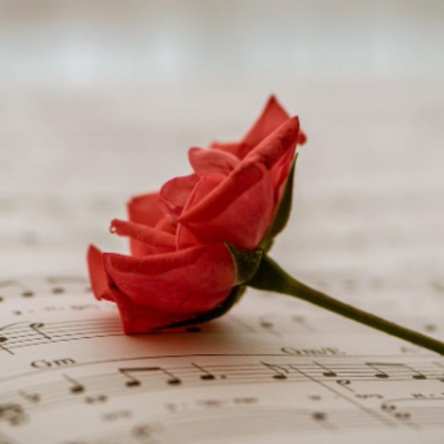 瞎扯 · 如何正确地吐槽-软件乐园