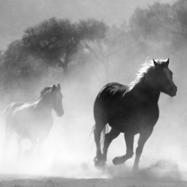 三国中蜀国算不算是穷兵黩武？-软件乐园