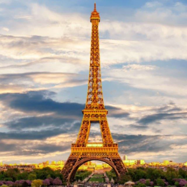 二战时法国为什么那么容易就被德国干掉？-软件乐园