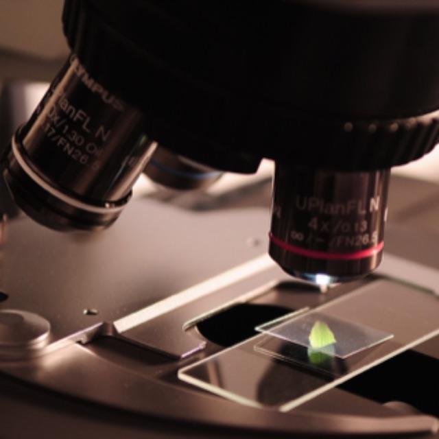 化合价的本质是什么？-软件乐园