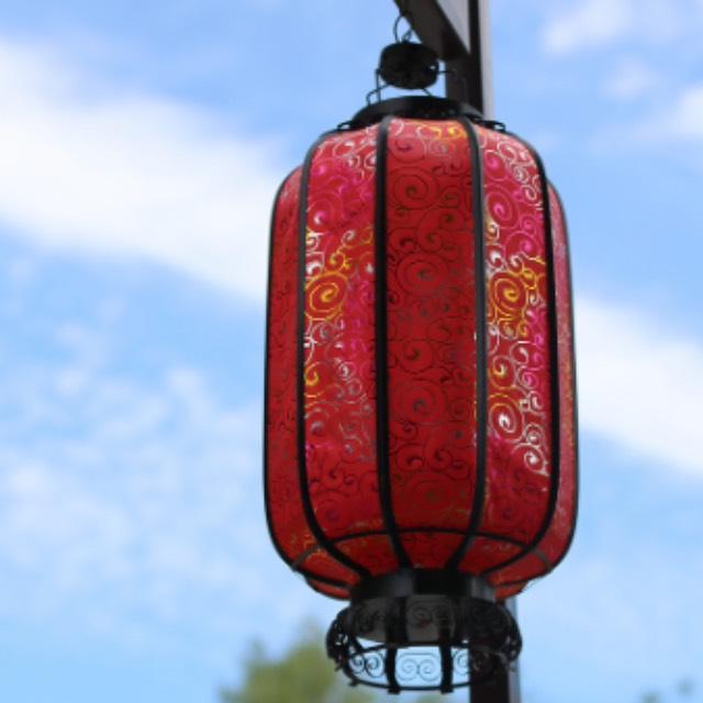 汉语在语言学谱系分类中处于一个怎样的地位？-软件乐园