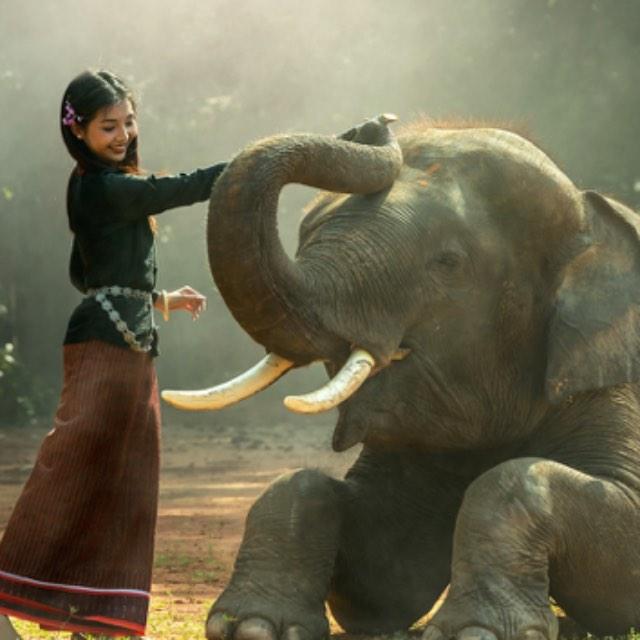 为什么史前动物巨大，而现代动物都不是很大？-软件乐园