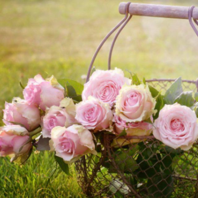 宫崎骏为什么讨厌手冢治虫？-软件乐园