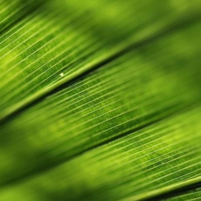 刘备得知关羽被杀，声泪俱下晕倒在地，为何闻听张飞死讯，只说了四个字？-软件乐园