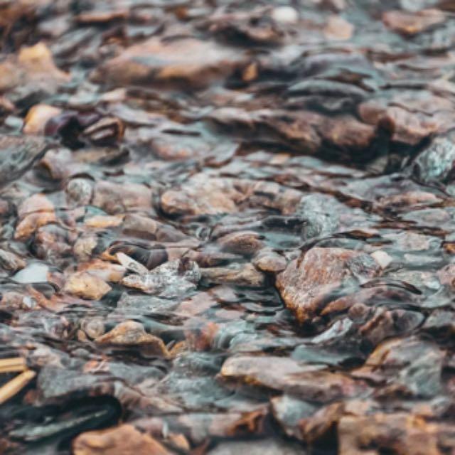 地球生物为什么没有演化出依赖于铝元素的代谢途径？-软件乐园