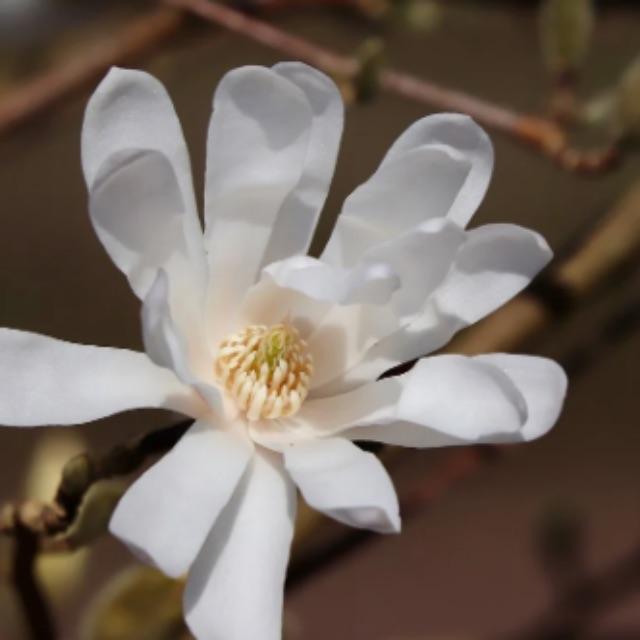 为什么农村多为「多姐一弟」，但是女性总量却少于男性呢？-软件乐园