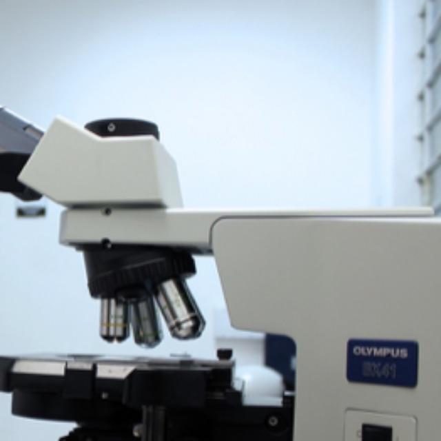 为什么细胞没有能量就会死亡，它不能像电脑一样只关机吗？-软件乐园