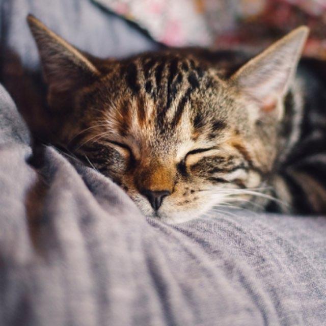 15 岁以后熬夜对身体影响多大？现在后悔了怎么办？-软件乐园