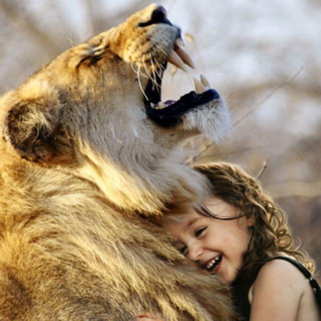 小事 · 宠物知道你爱它吗?-软件乐园