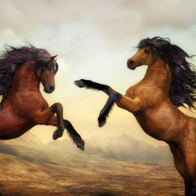 花木兰中为什么是「可汗大点兵」?-软件乐园