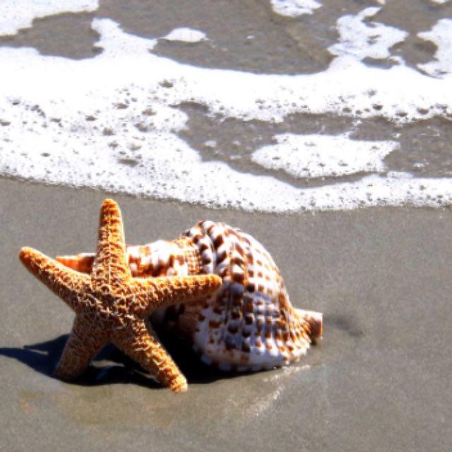 春秋战国的君主到底「姓」什么？-软件乐园