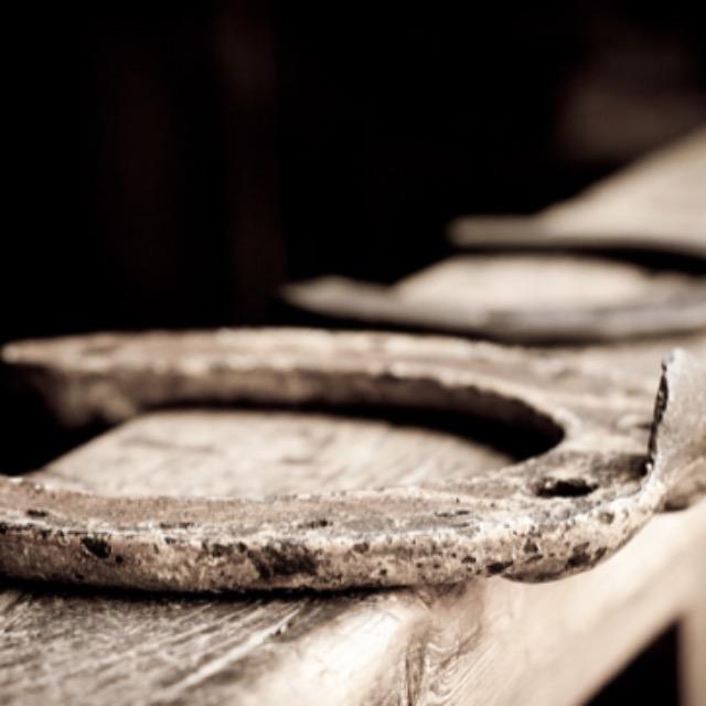 如果人的脚进化成蹄子会怎么样？-软件乐园