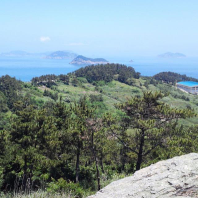 尼安德特人的灭绝原因是什么?-软件乐园