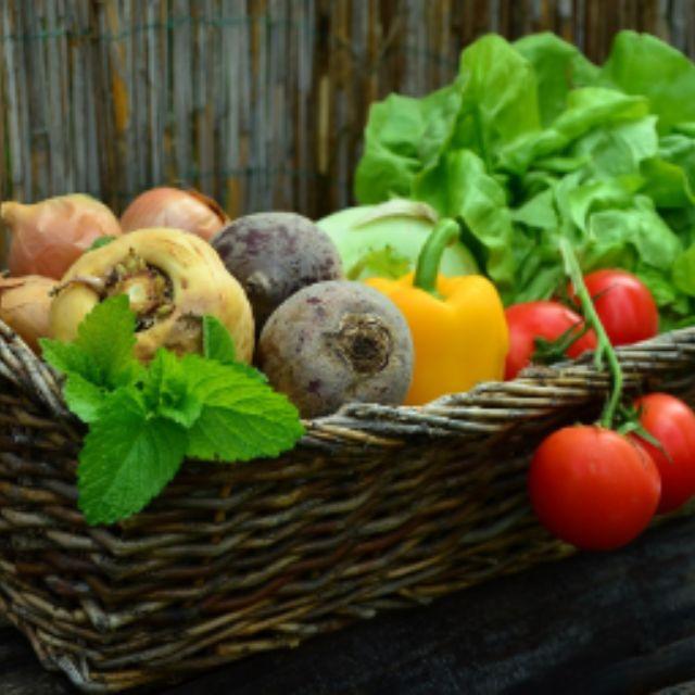 为什么人有 8 种氨基酸必须从食物中获得,但放弃肉源蛋白质的素食主义者却活得好好的?-软件乐园