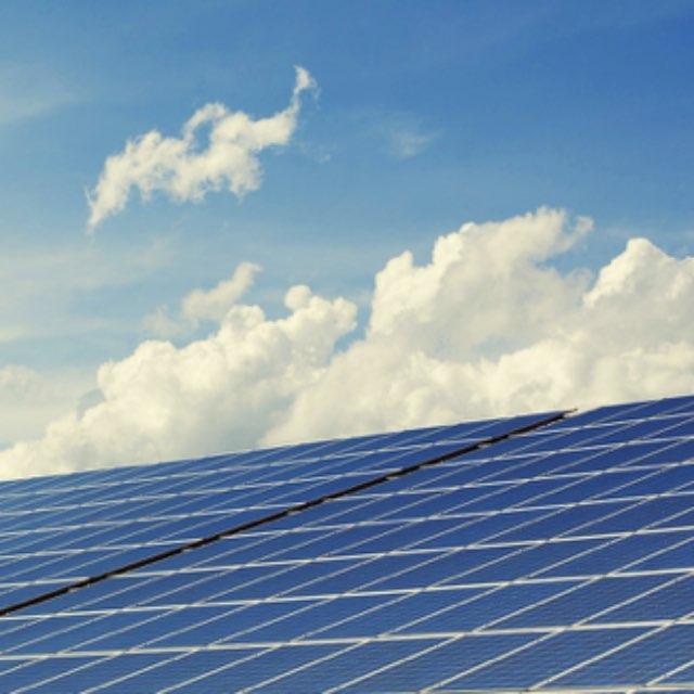 光伏电池和叶绿体哪个转换太阳能的效率高?-软件乐园