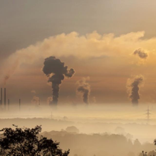 「有」字的字源是什么?-软件乐园