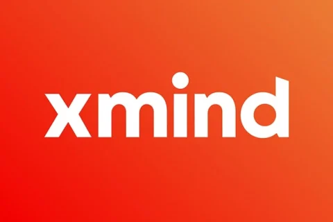 XMind 2024 v25.01 中文免安装绿色特别版 (Win/Mac)-软件乐园