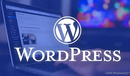 🚀 WordPress 完全教程：从入门到进阶（2026 最新版）-软件乐园